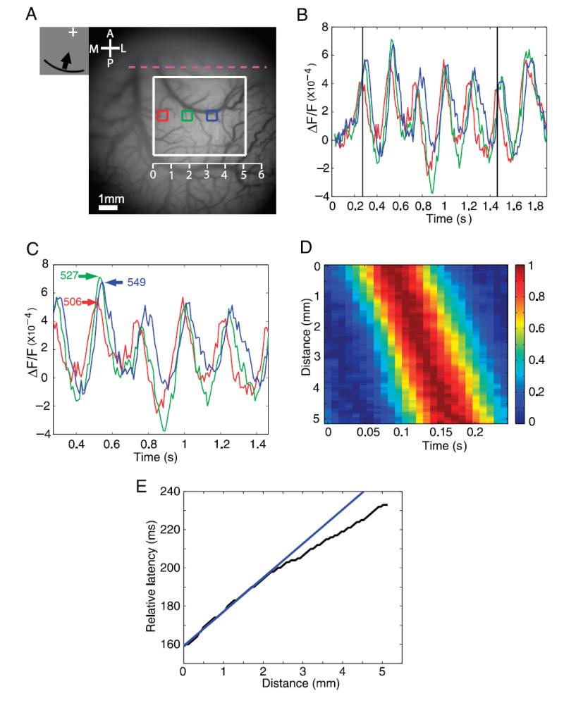 FIG. 3