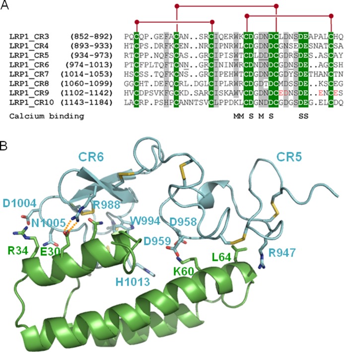 FIGURE 11.