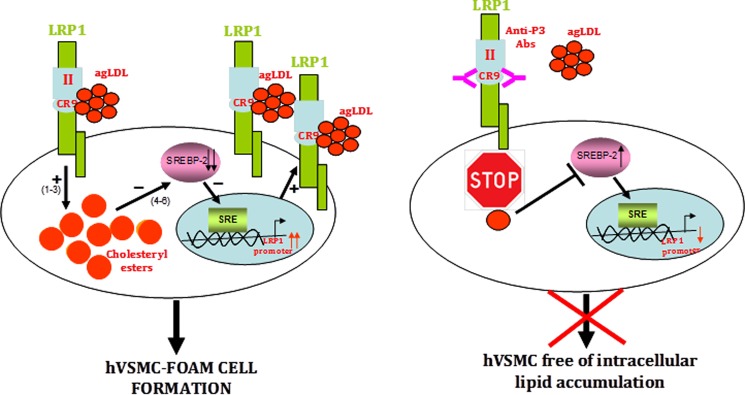 FIGURE 12.