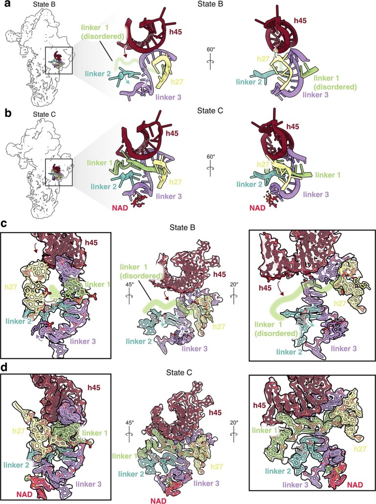 Extended Data Fig. 7