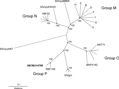 FIG. 2.