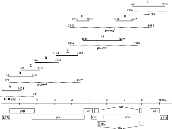 FIG. 1.