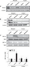 Fig. 9.