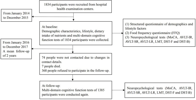 FIGURE 1