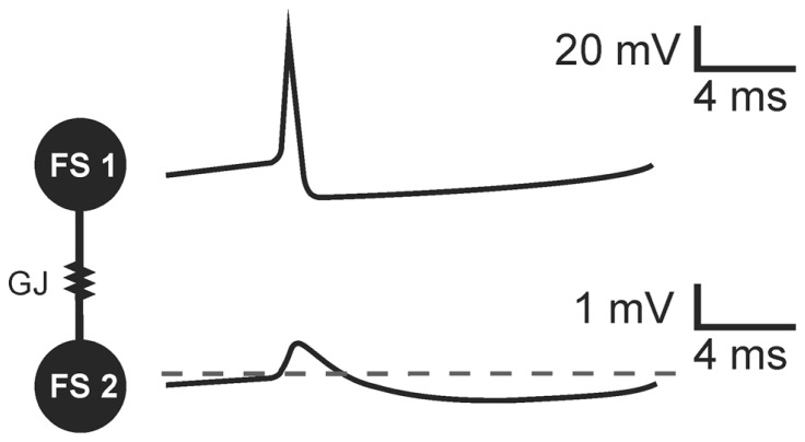 FIGURE 1