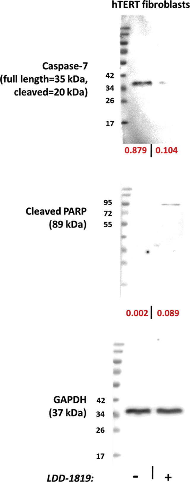 Fig. 3