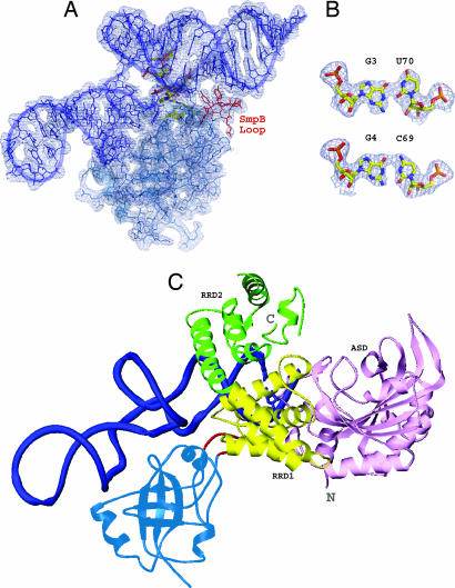 Fig. 3.