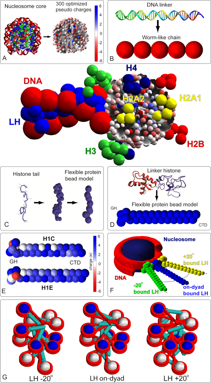 Figure 1.