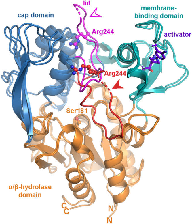 Fig. 3.