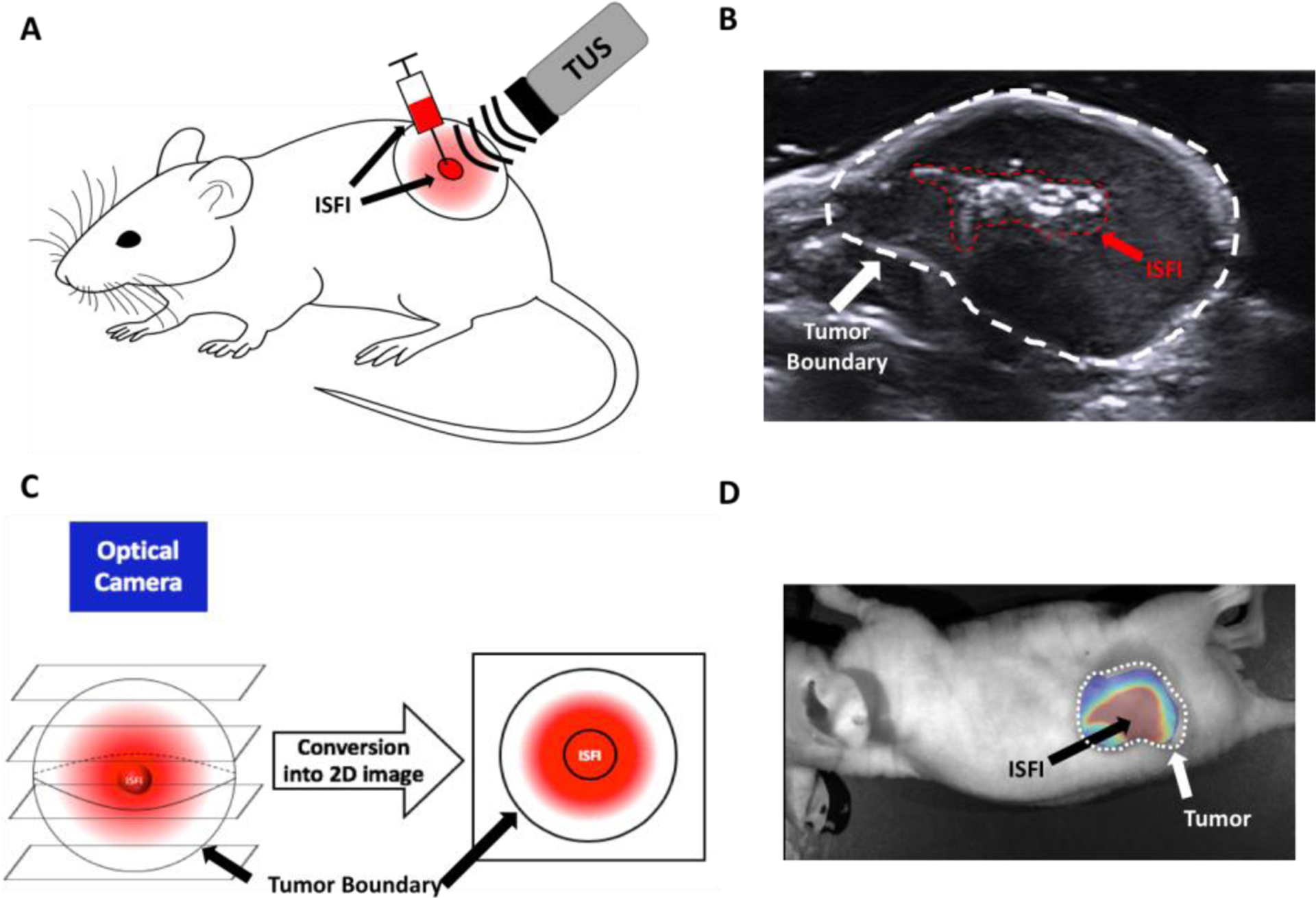 Figure 1: