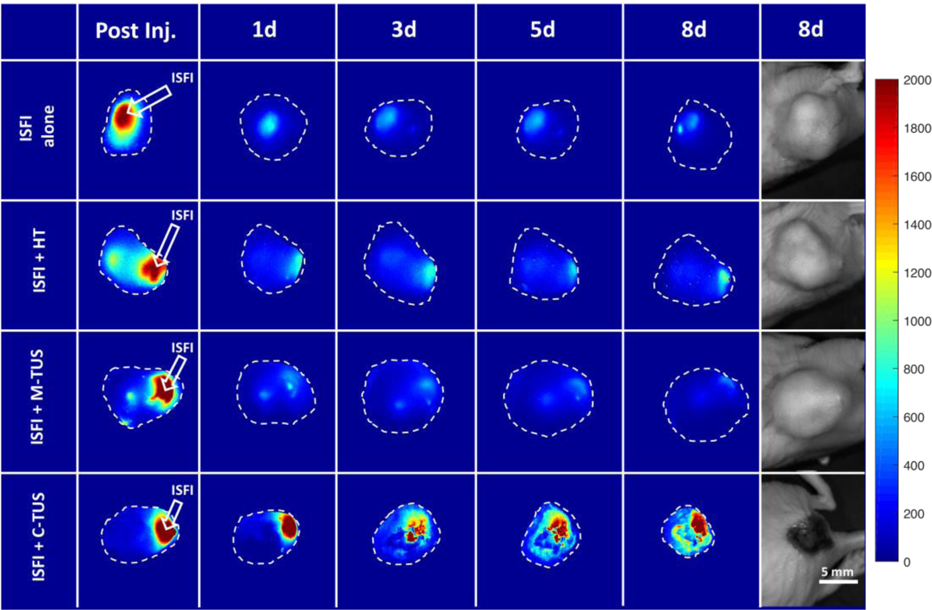 Figure 5: