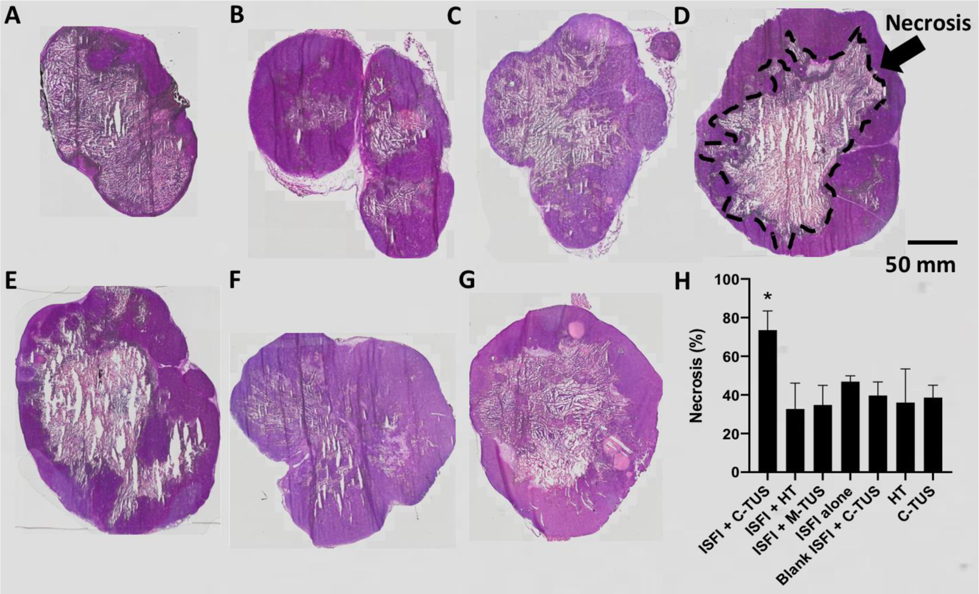 Figure 11: