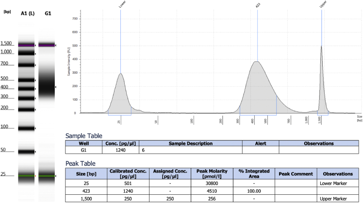 Figure 4