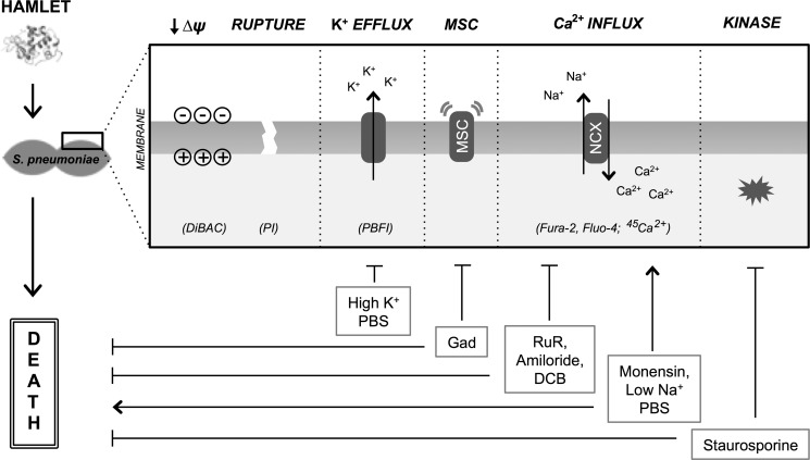 FIGURE 10.