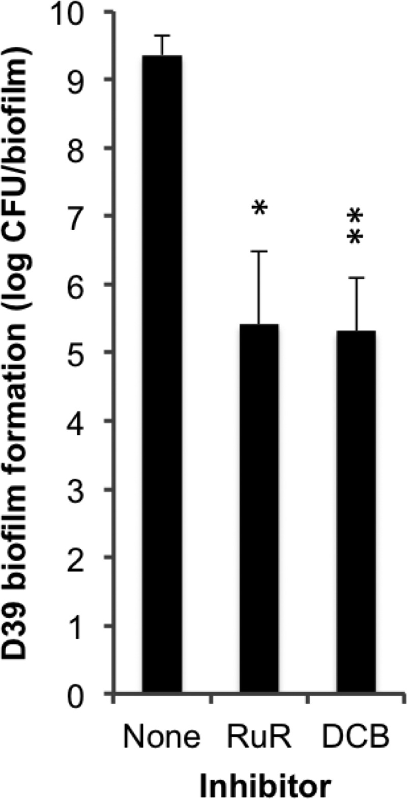 FIGURE 9.