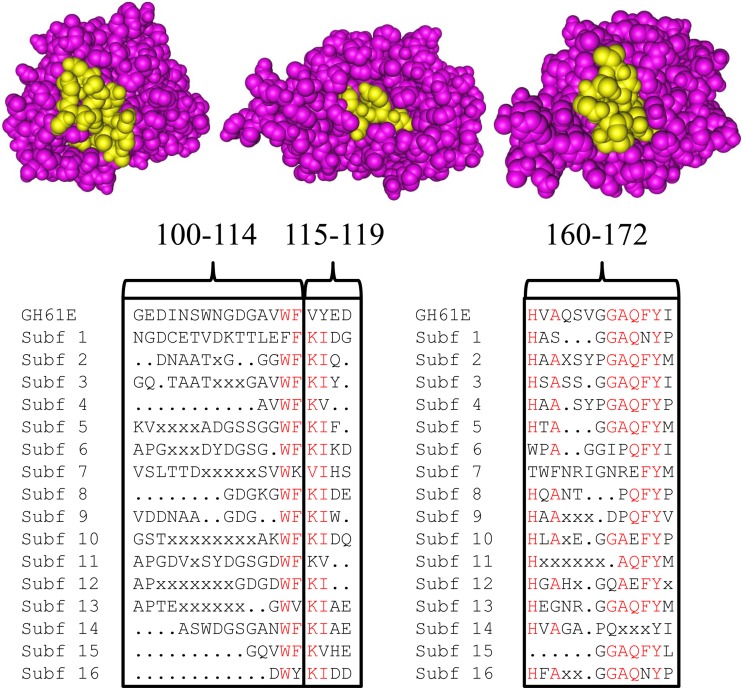 Fig 5