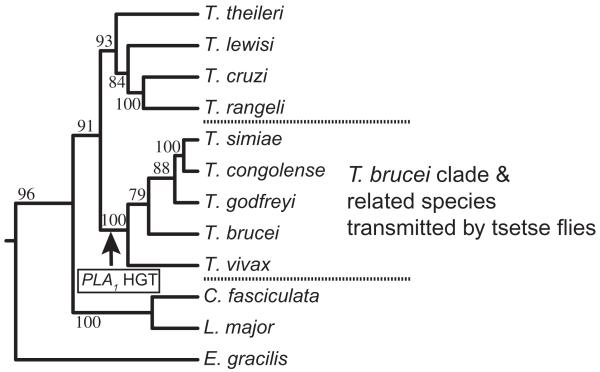 Fig. 8