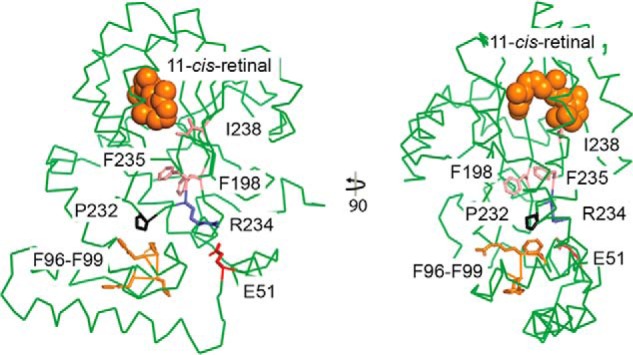 Figure 10.