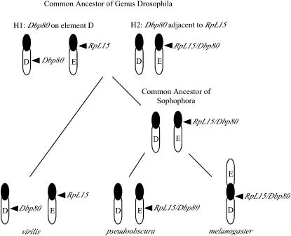 Figure 6.—