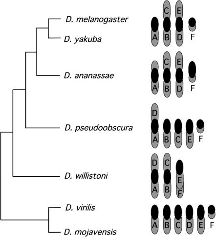 Figure 1.—