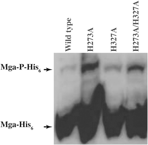 FIG 9