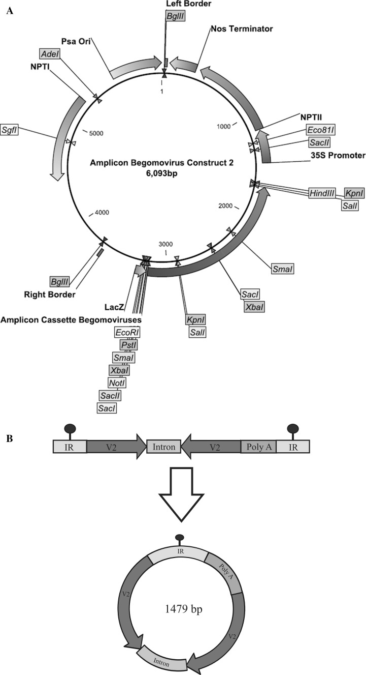 Fig. 1