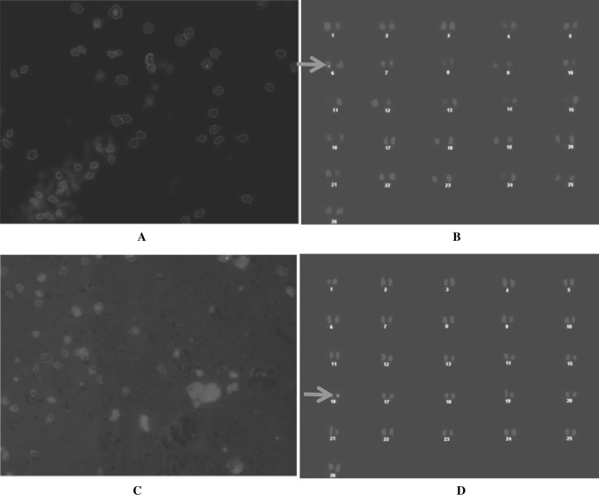 Fig. 10