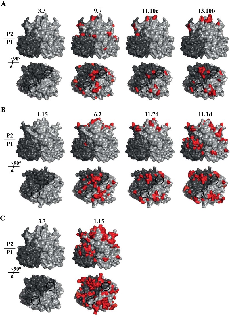 FIG 5 