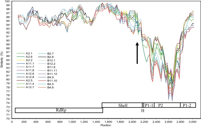 FIG 4 