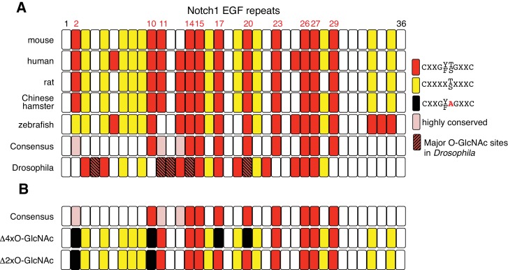 Figure 2—figure supplement 1.