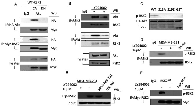 Figure 2.