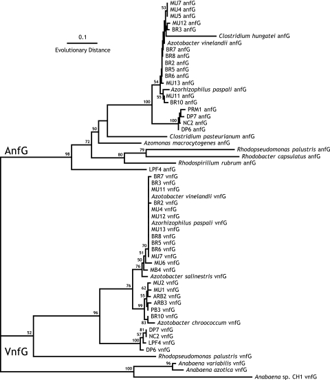 FIG. 2.