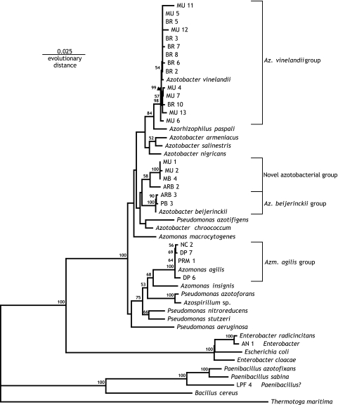 FIG. 1.