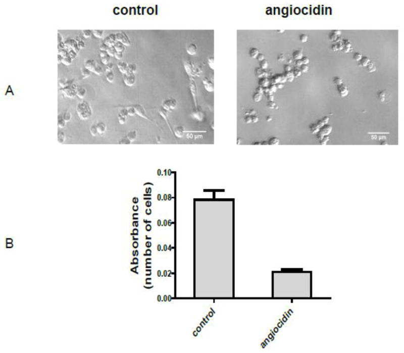 Fig.1