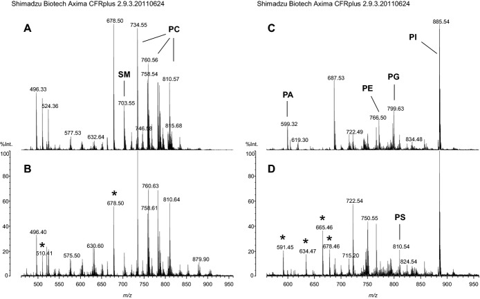 Figure 2.