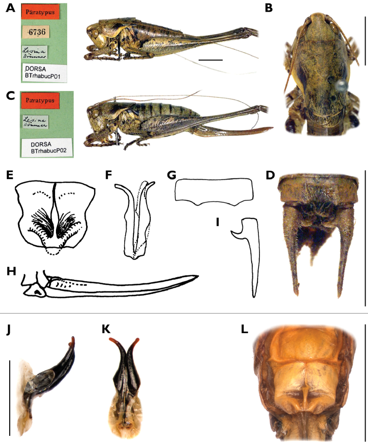 Figure 10.