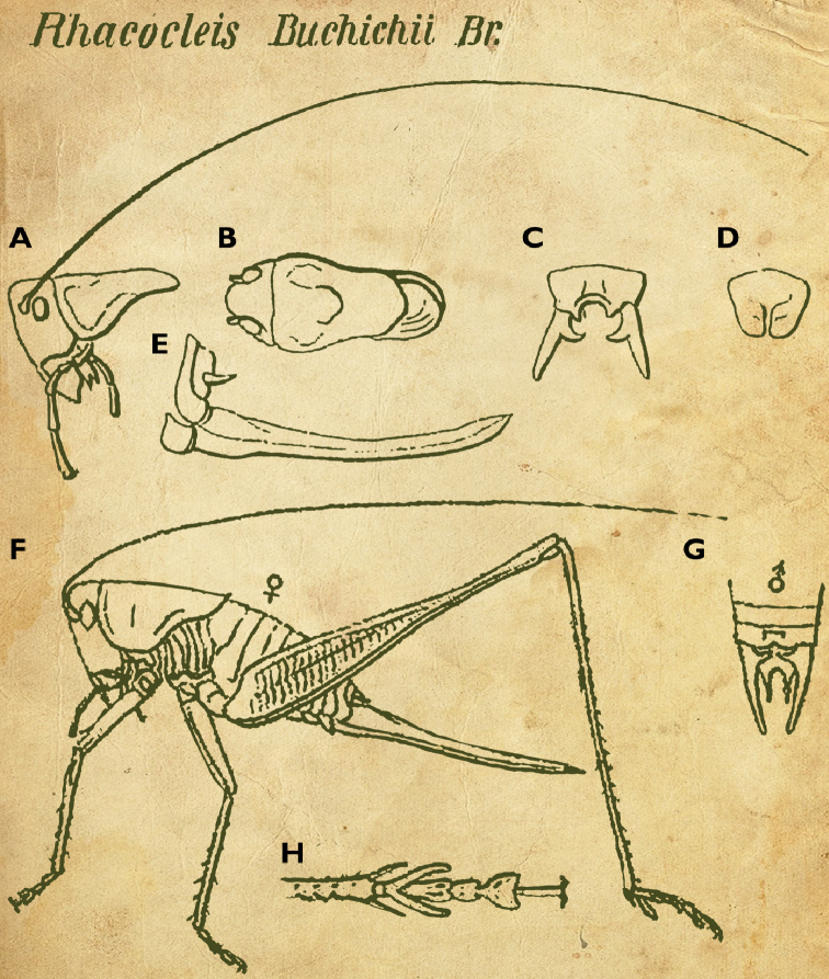 Figure 9.