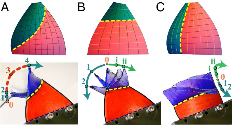 Fig. 2.