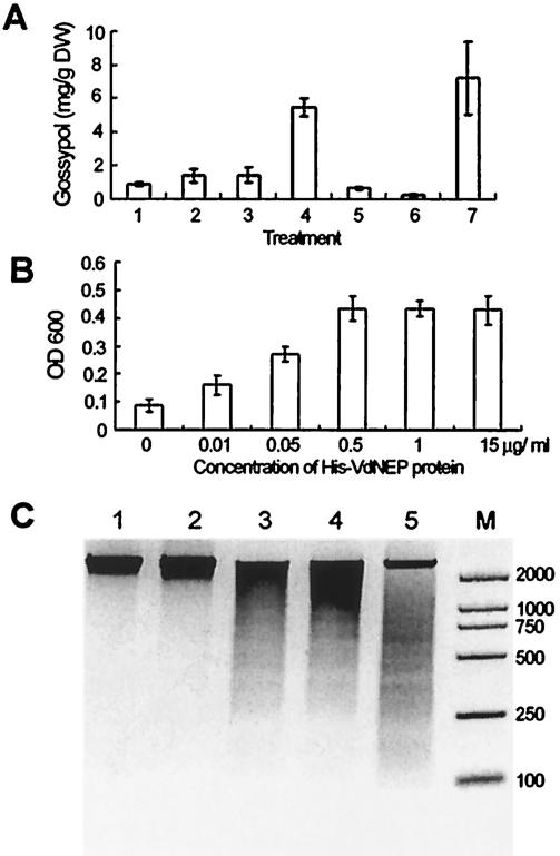 FIG. 4.