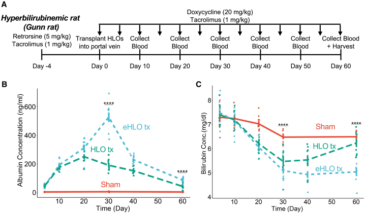 Figure 5