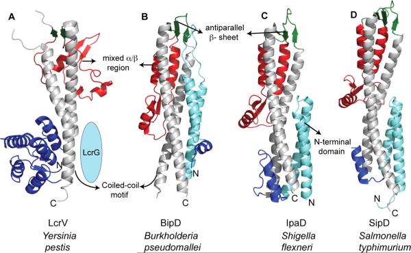 Figure 4