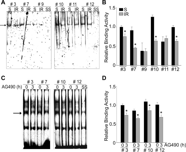 Figure 6.