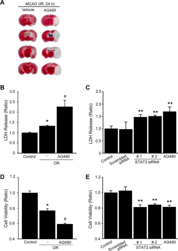 Figure 9.