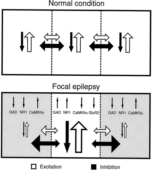 Fig. 9.