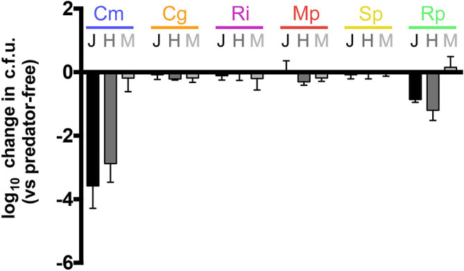 Fig. 6.