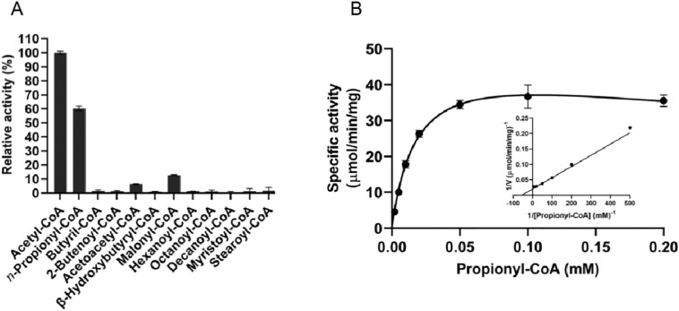 Fig. 5