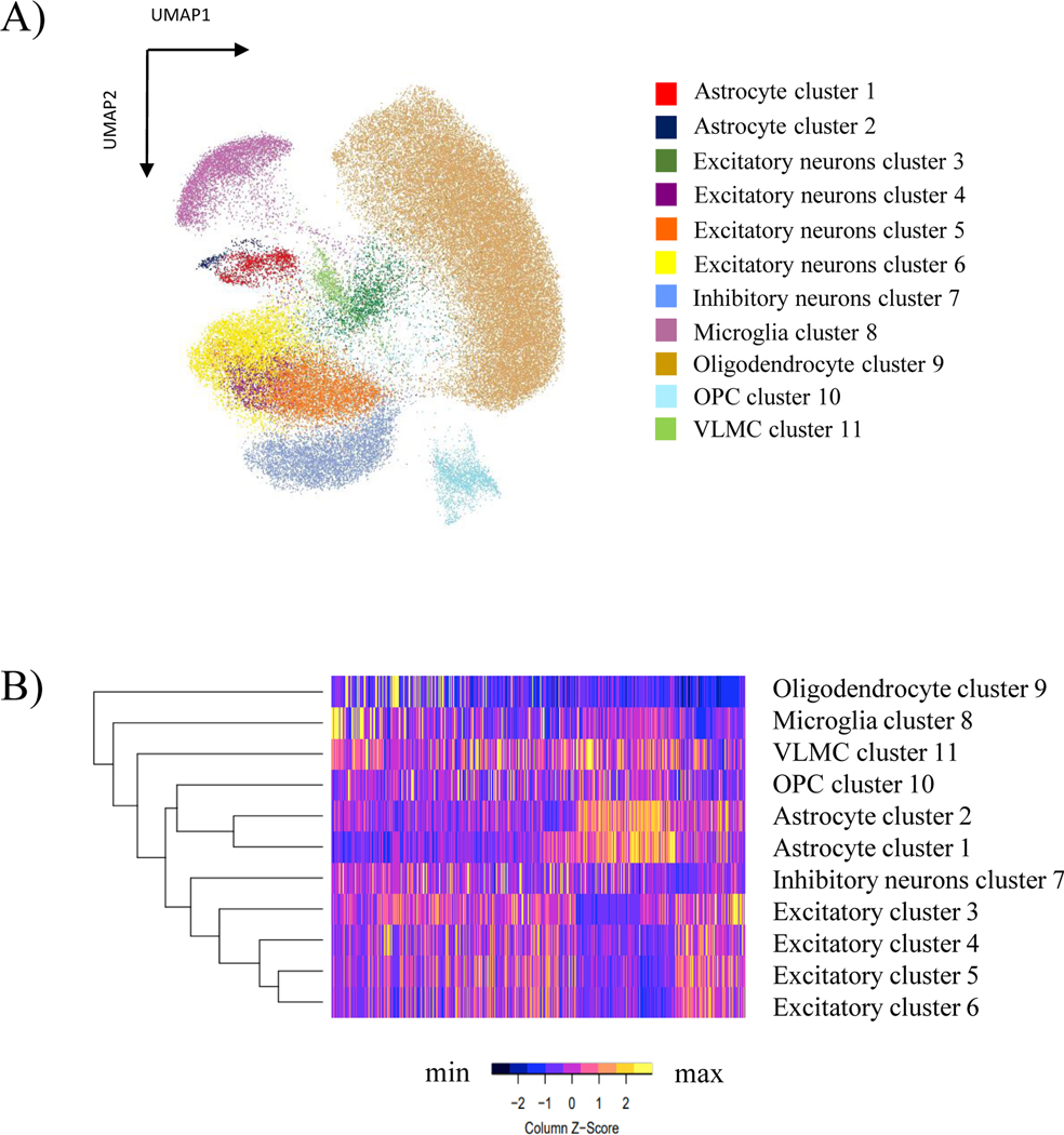 Ancestry-related differences in chromatin accessibility and gene expression of APOE ε4 are associated with Alzheimer's disease risk.