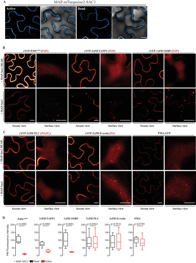 Figure 1—figure supplement 6.