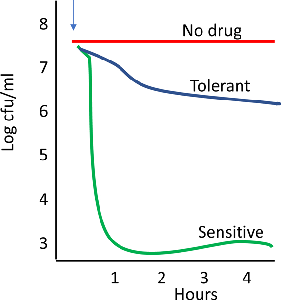 Fig 2