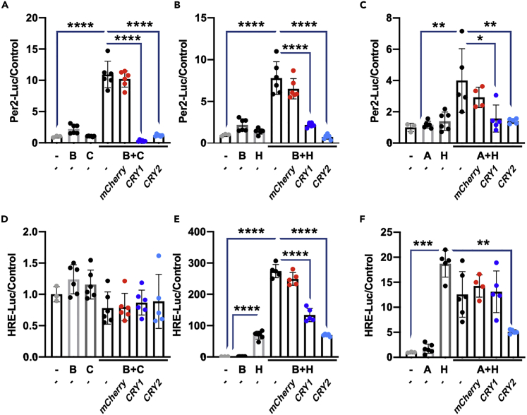 Figure 4